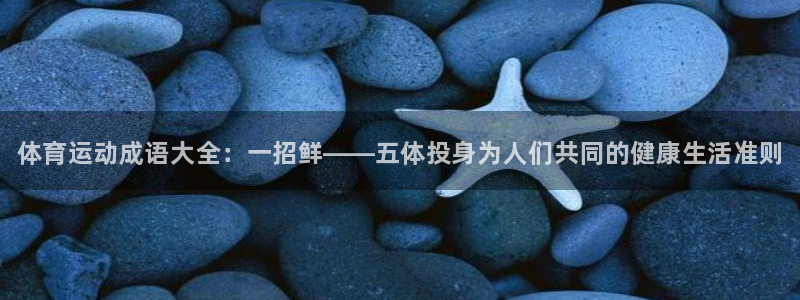 vsport体育官网下载招商电话号码查询：体育运动成