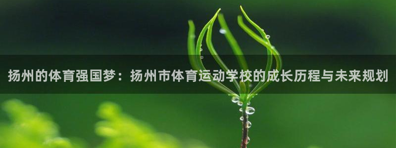 vsport体育官方正版app集团官网首页网址：扬州