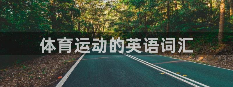 vsport体育官方正版app集团官网首页：体育运动