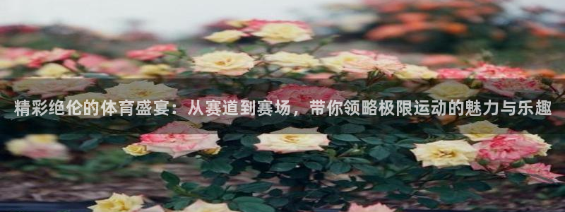 vsport体育官网下载平台是正规平台吗知乎：精彩绝