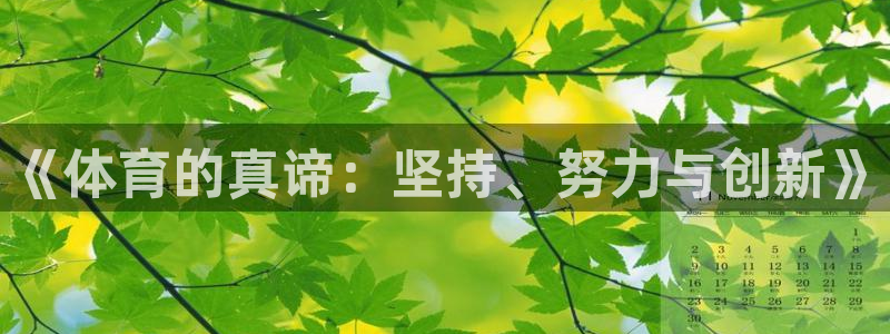 vsport体育官网下载平台是正规平台吗：《体育的真谛：坚持