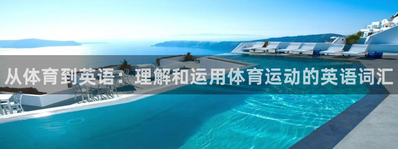 vsport体育官方正版app娱乐是那个系列的台子：