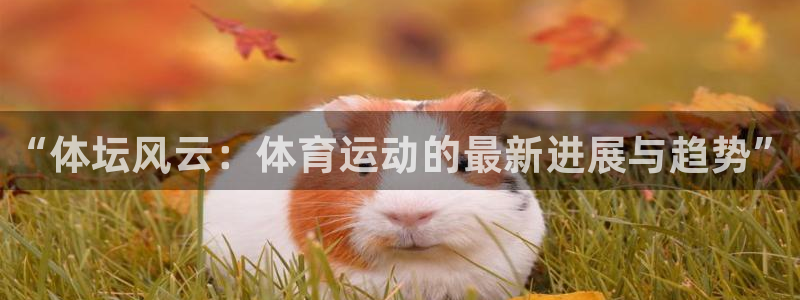 vsport体育官网下载平台注册要钱吗是真的吗：“体坛风云：