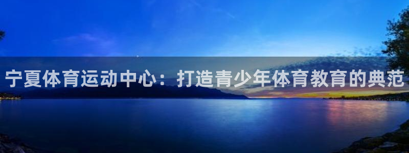 vsport体育官方正版app集团简介：宁夏体育运动