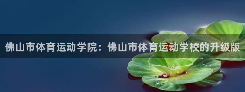 vsport体育官网下载平台注册要钱吗是真的吗：佛山