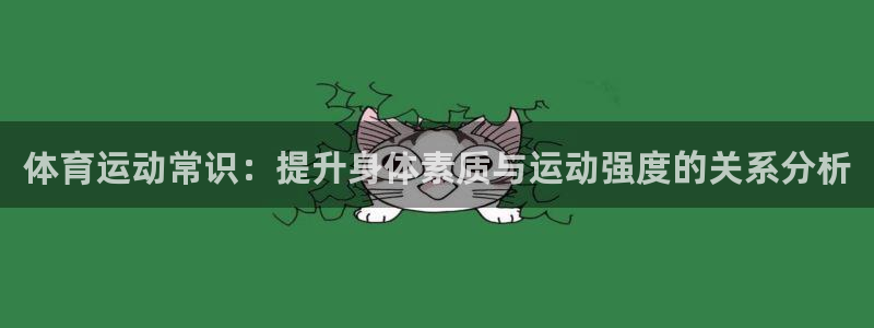 vsport体育官方正版app集团官网首页网址：体育