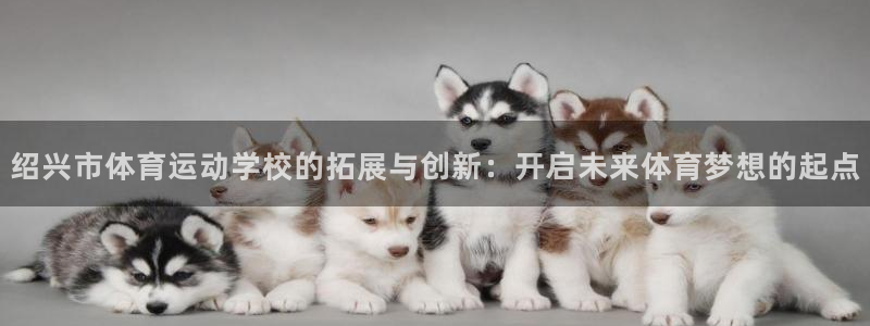 vsport体育官网下载注册：绍兴市体育运动学校的拓