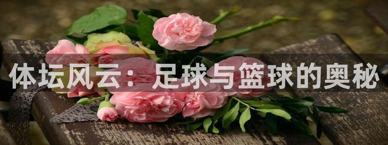 vsport体育官方正版app娱乐网站：体坛风云：足球与篮球