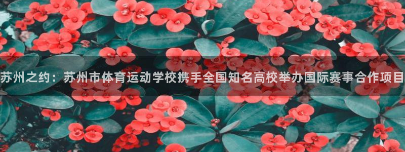vsport体育官网下载软件：苏州之约：苏州市体育运