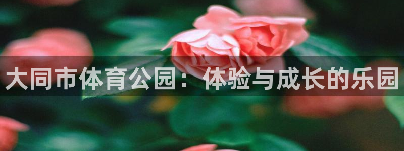 vsport体育官方正版app神州：大同市体育公园：