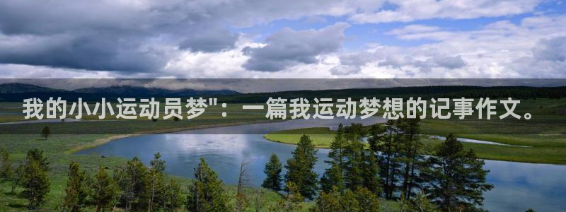 vsport体育官网下载平台是正规平台吗安全吗：我的