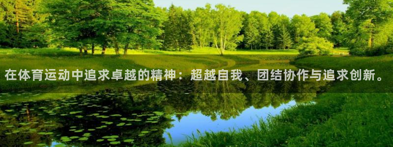 vsport体育官方正版app神州：在体育运动中追求