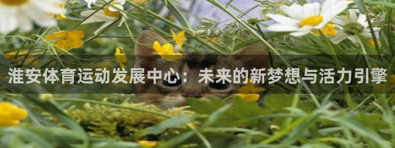 vsport体育官方正版app娱乐代理怎么样：淮安体