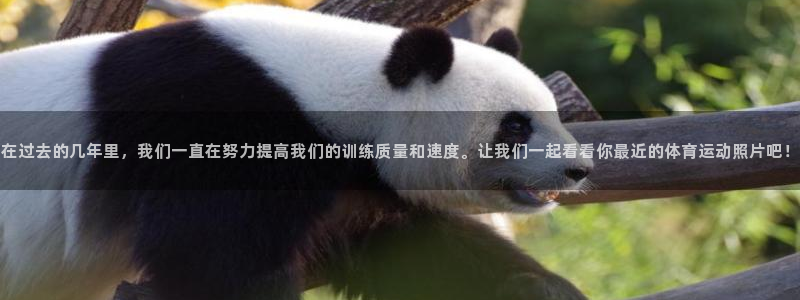 德国vsport体育官方正版app集团：在过去的几年