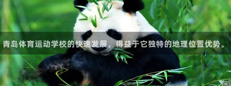 vsport体育官方正版app娱乐是那个系列的台子：