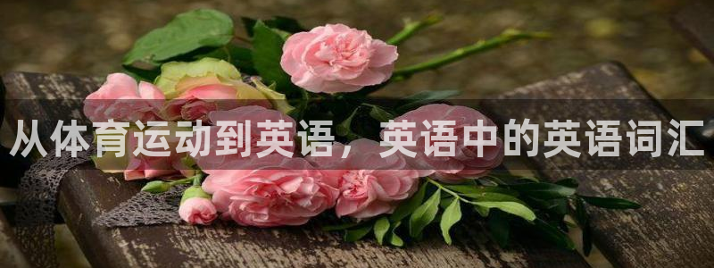 vsport体育官方正版app集团官网网址：从体育运