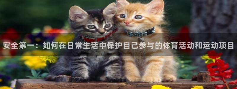 vsport体育官方集团官网：安全第一：如何在日常生活中保护