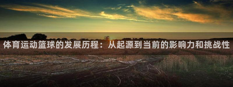 vsport体育官网下载娱乐：体育运动篮球的发展历程