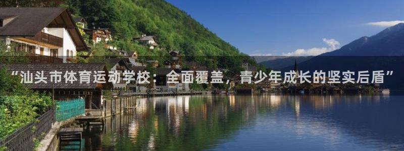 vsport体育官方正版app新能源：“汕头市体育运动学校：
