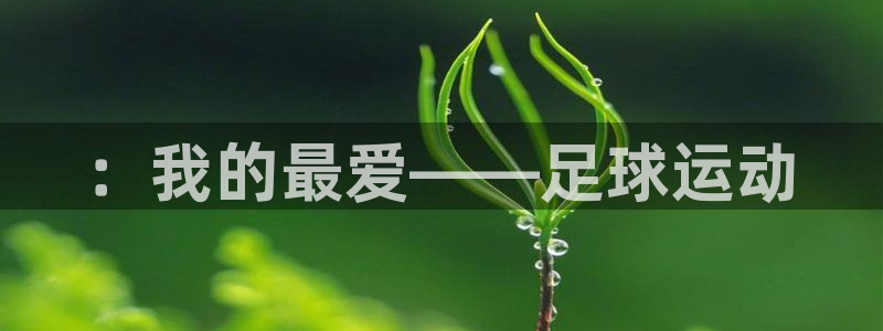 vsport体育官网下载招商电话：：我的最爱——足球运动
