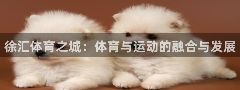 vsport体育官网下载平台假的吗是真的吗吗：徐汇体育之城：
