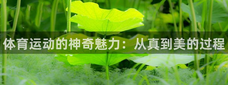 vsport体育官网下载招商电话是多少
