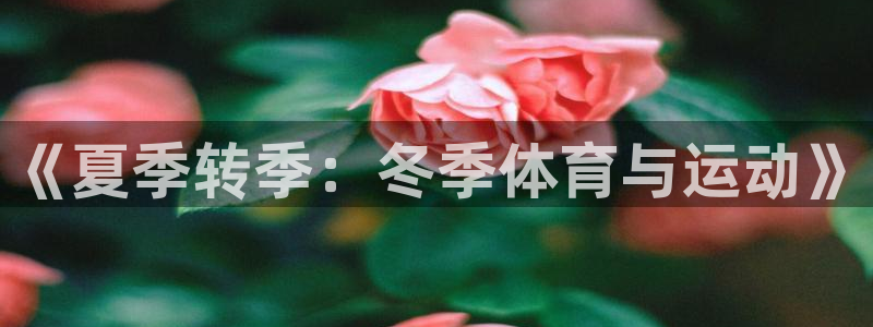 vsport体育官网下载注册：《夏季转季：冬季体育与运动》