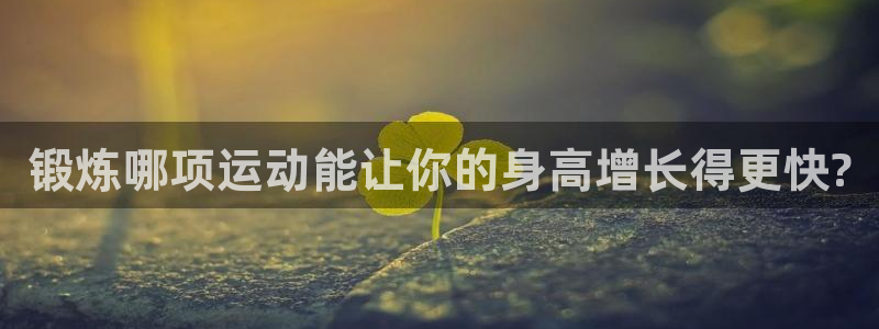 vsport体育官网下载平台是正规平台吗