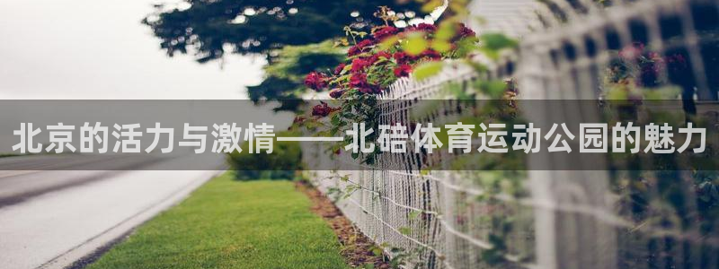 vsport体育官网下载注册：北京的活力与激情——北碚体育运