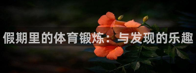 vsport体育官网下载联系电话：假期里的体育锻炼：与发现的