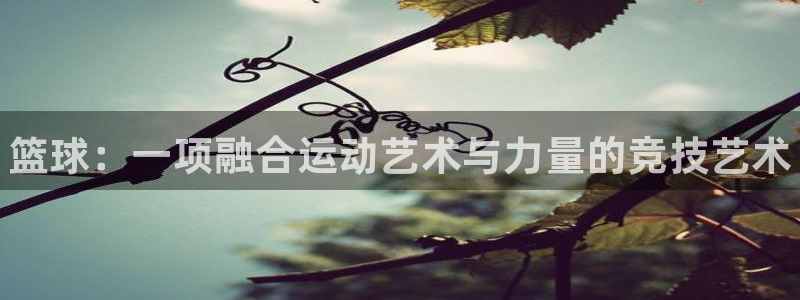 vsport体育官方正版app集团logo：篮球：一