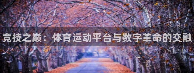 vsport体育官方正版app集团E.ON：竞技之巅：体育运