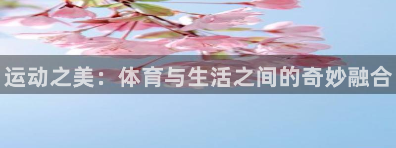 vsport体育官网下载平台假的吗是真的吗：运动之美：体育与