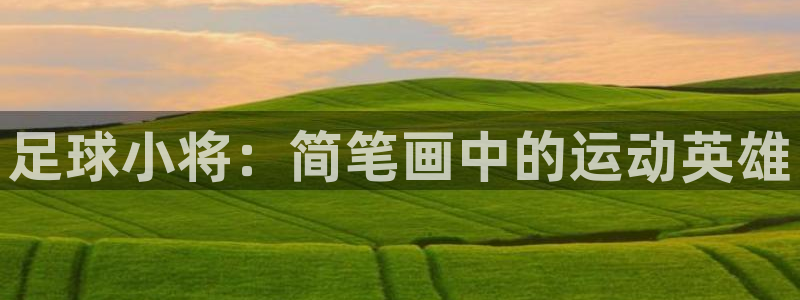 vsport体育官网下载官方客服电话
