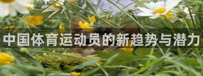 vsport体育官网下载招商电话号码查询是多少