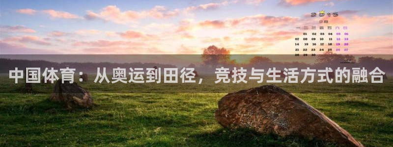 vsport体育官网下载招商电话号码查询：中国体育：从奥运到