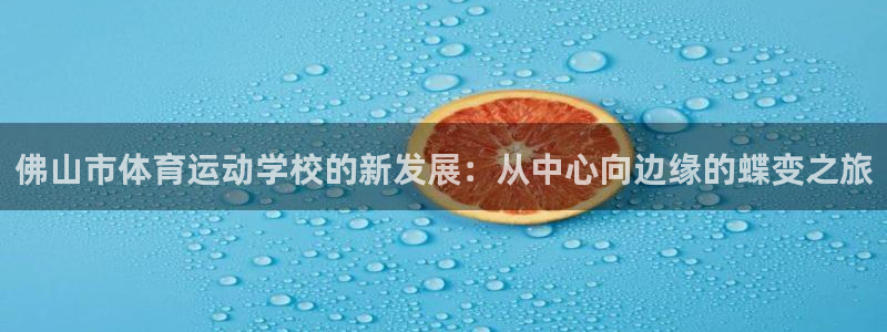 vsport体育官方正版app集团E.ON：佛山市体育运动学