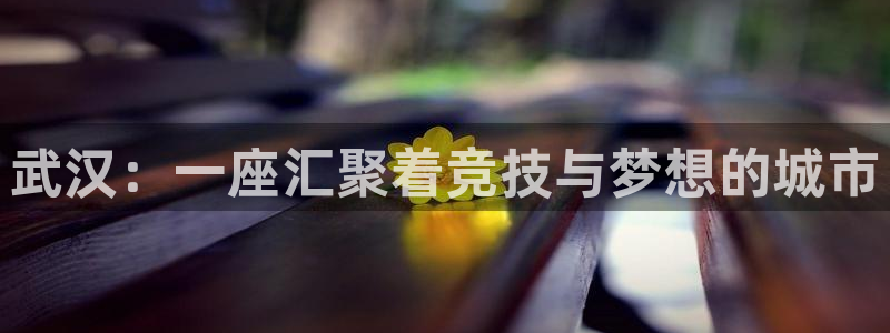 vsport体育官网下载联系电话：武汉：一座汇聚着竞技与梦想