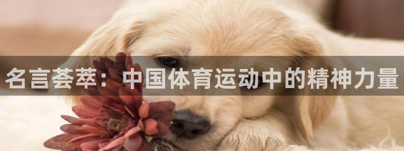 vsport体育官方正版app娱乐首页官网下载：名言荟萃：中